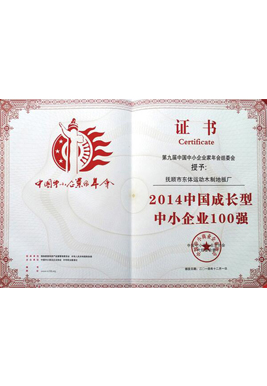 2014 China's growing SMEs