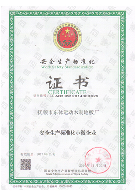 Safety production standardization